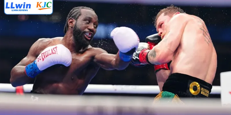 Boxing - Hướng Dẫn Soi Kèo Và Chiến Thắng Trên LLWIN